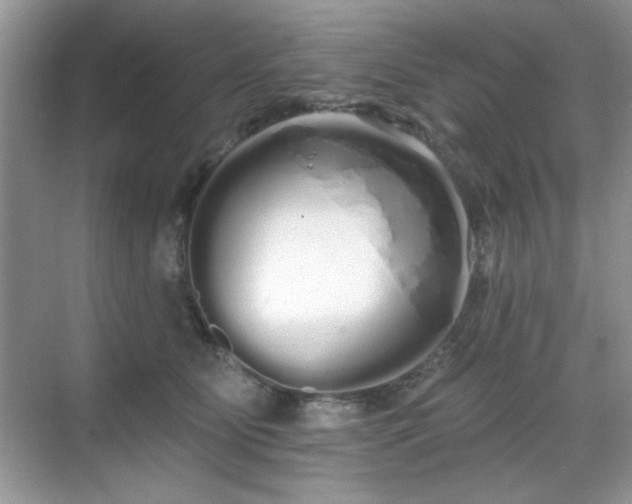 X0000069400515200605151022