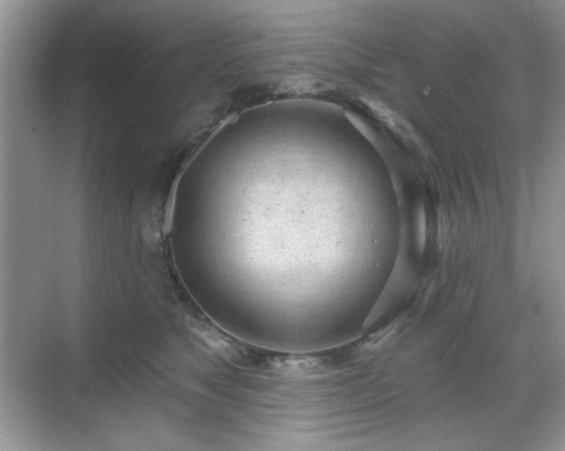 X0000069400517200605151022