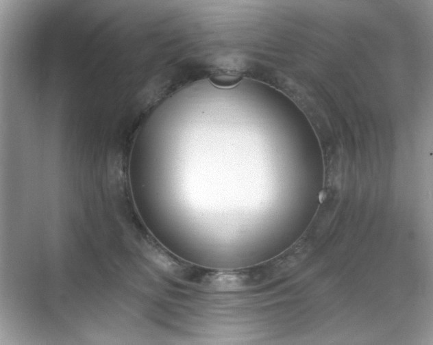 X0000069400518200605151022