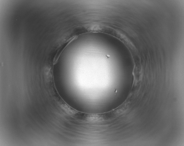 X0000069400521200605151022