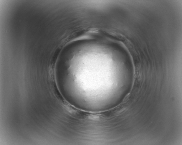 X0000069400523200605151022