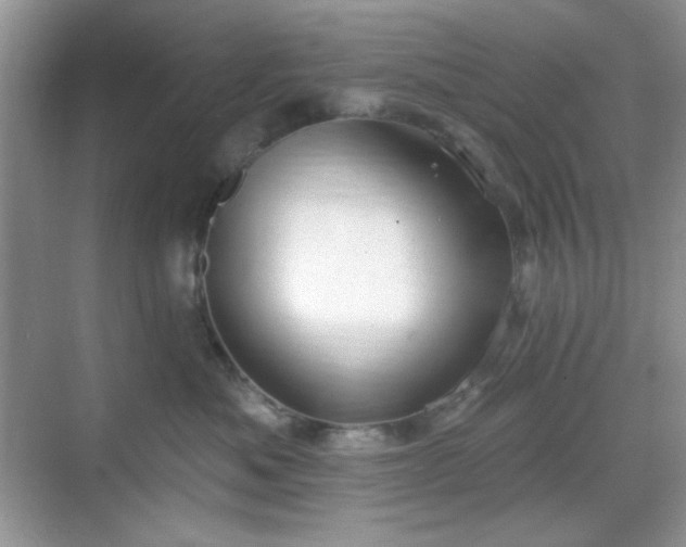 X0000069400525200605151022