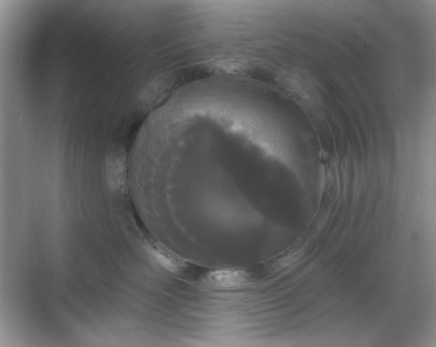 X0000069400526200605151022