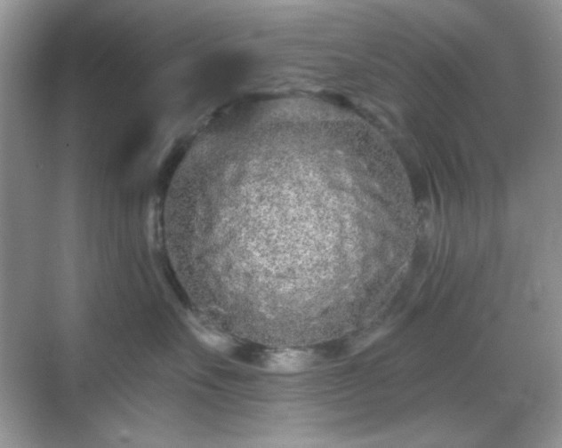 X0000069400527200605151022