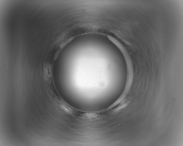 X0000069400528200605151022