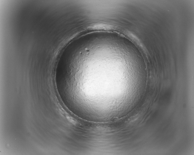 X0000069400529200605151021