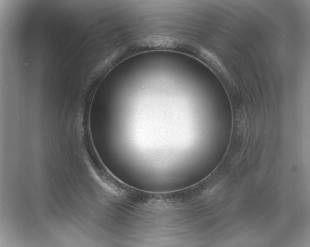 X0000069400538200605151021