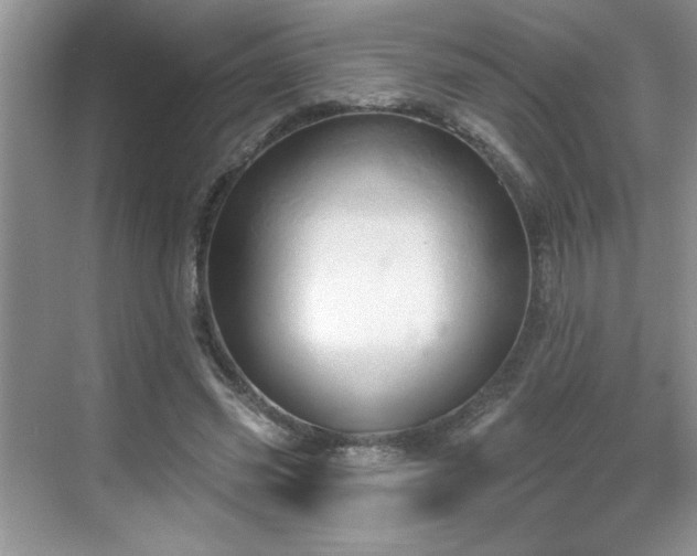 X0000069400541200605151021