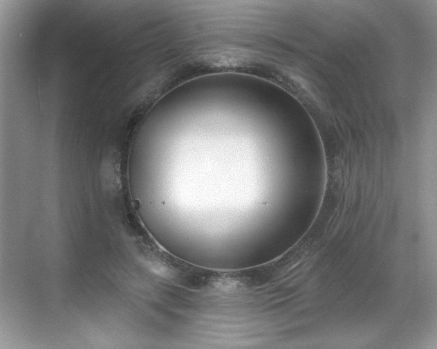 X0000069400547200605151021