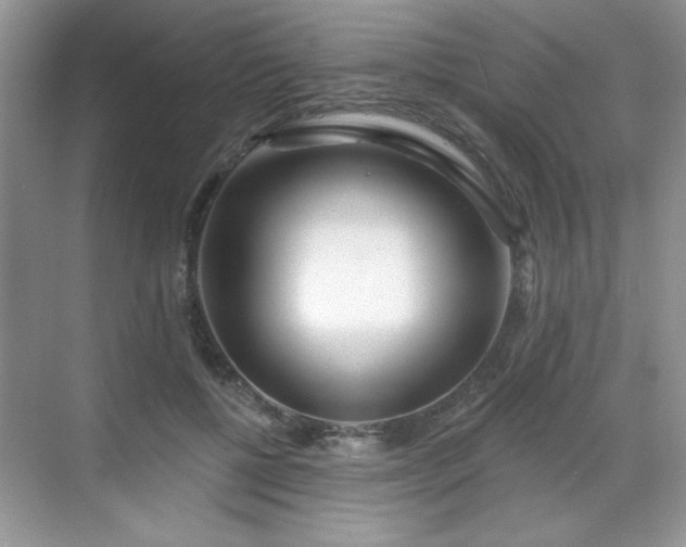 X0000069400552200605151021