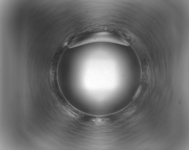 X0000069400558200605151021