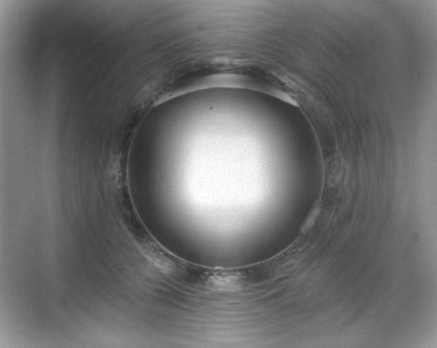 X0000069400560200605151021