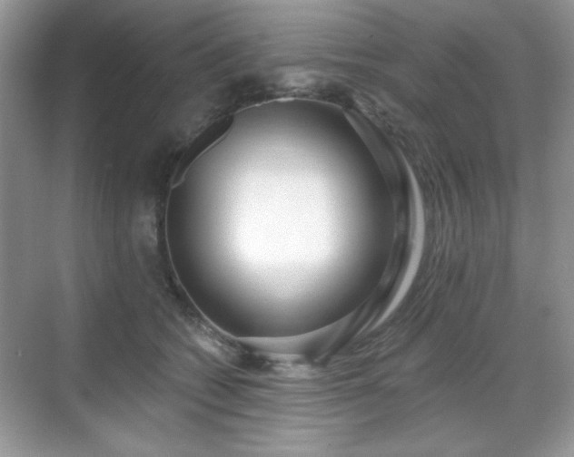 X0000069400562200605151021
