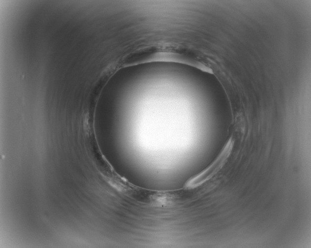 X0000069400564200605151022