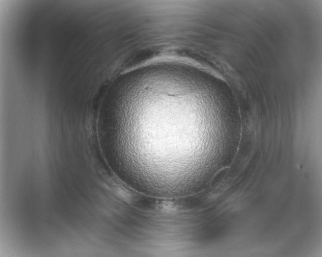 X0000069400565200605151022
