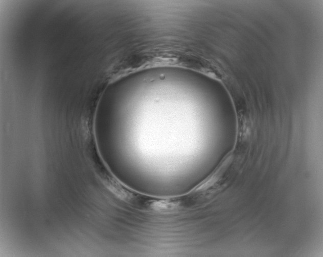 X0000069400568200605151022