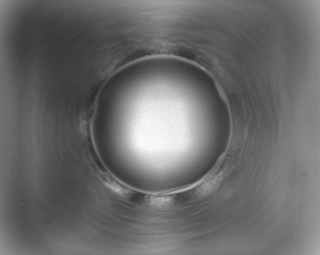 X0000069400576200605151022