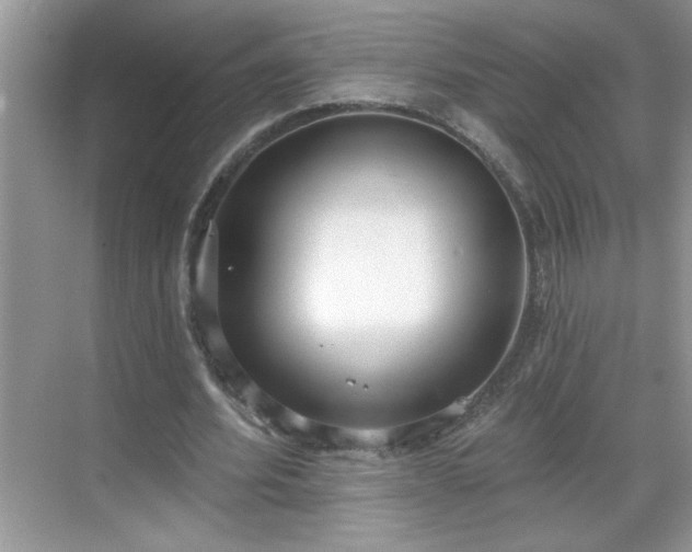 X0000069400580200605151021
