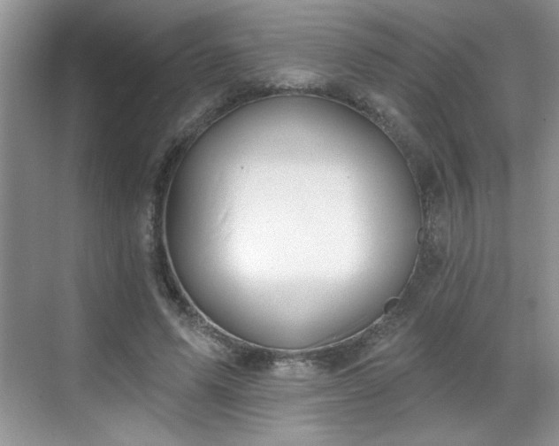X0000069400591200605151021