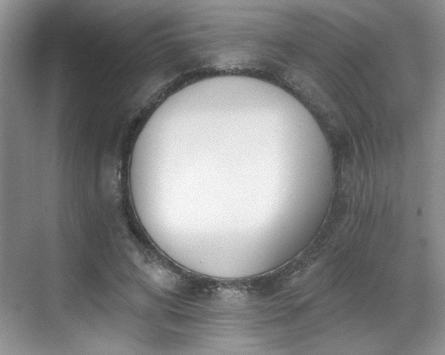 X0000069400592200605151021