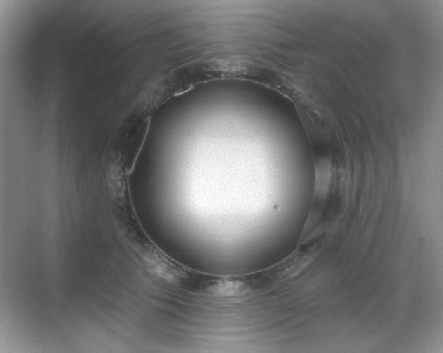 X0000069400609200605151020