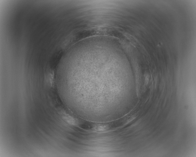 X0000069400610200605151020