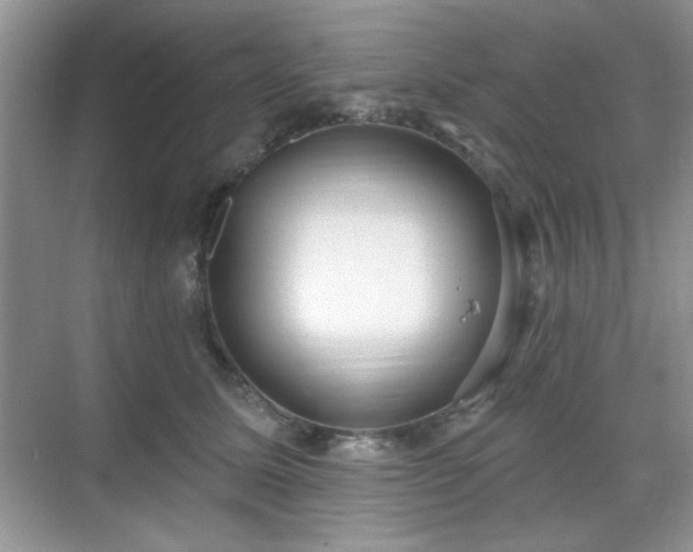X0000069400611200605151020