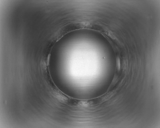 X0000069400613200605151020