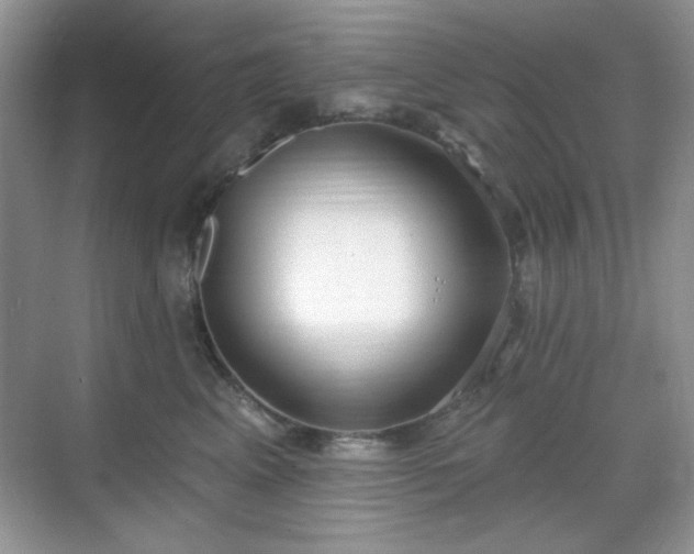 X0000069400617200605151020