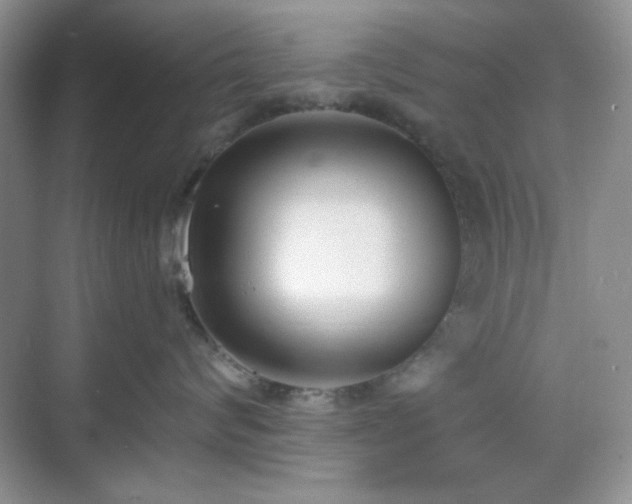 X0000069400624200605151020