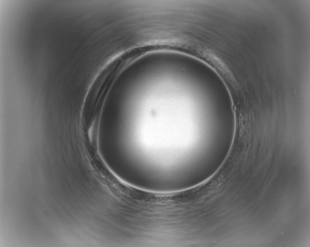 X0000069400628200605151019
