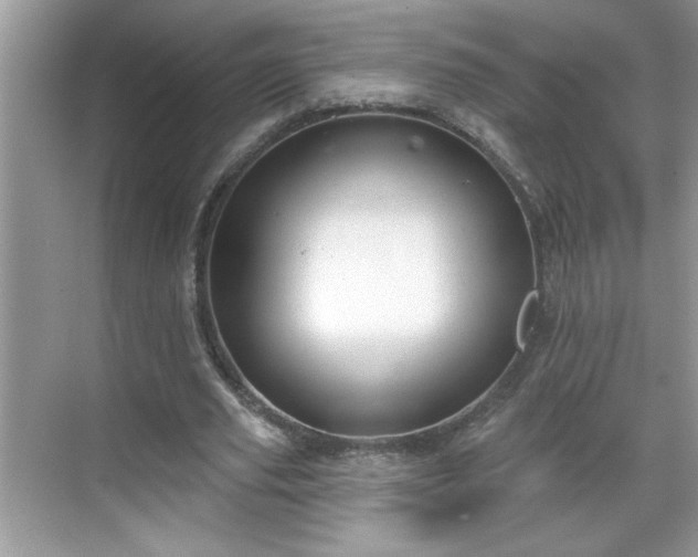 X0000069400629200605151019