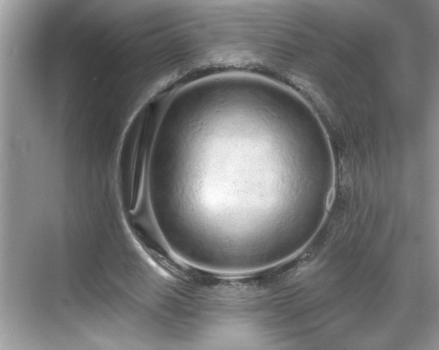 X0000069400630200605151019