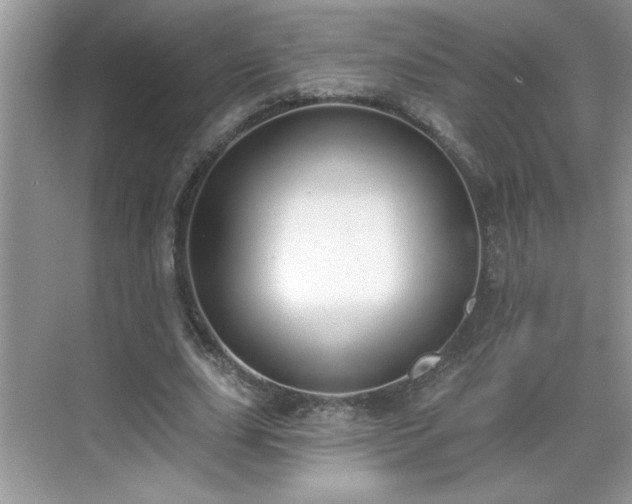X0000069400631200605151019