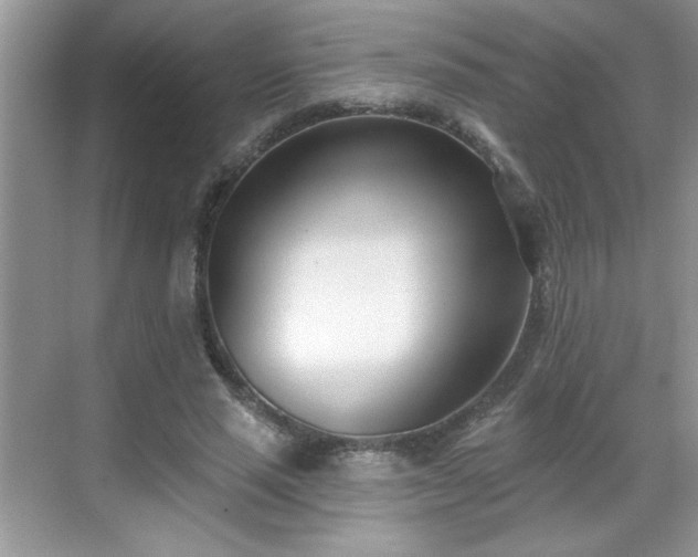 X0000069400637200605151019