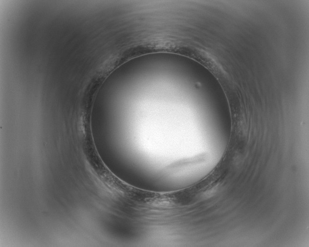 X0000069400643200605151020