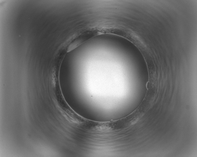 X0000069400644200605151020