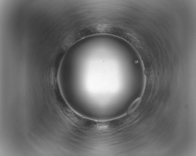X0000069400651200605151020