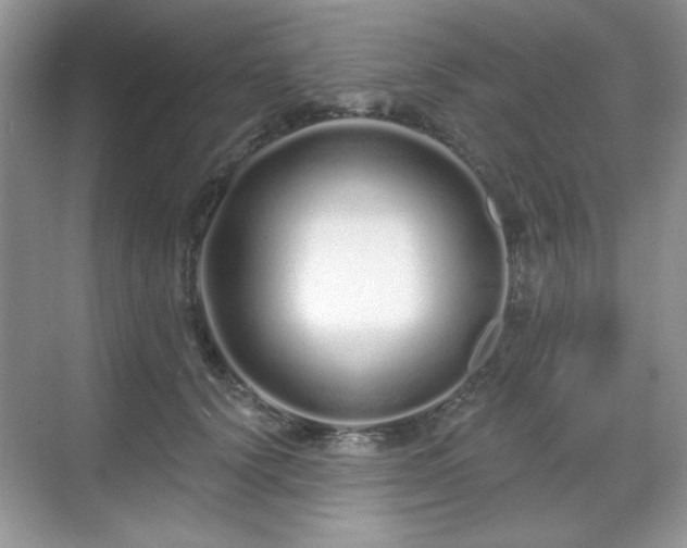 X0000069400656200605151020