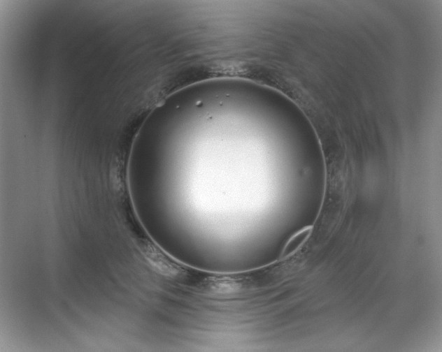 X0000069400658200605151020