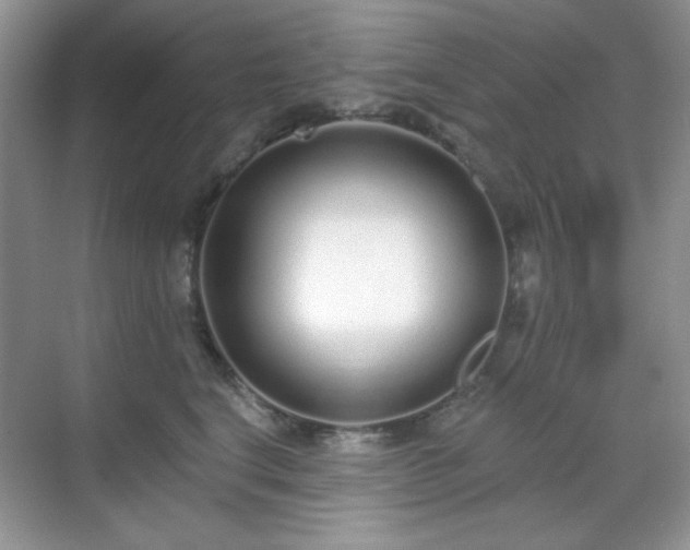 X0000069400664200605151020