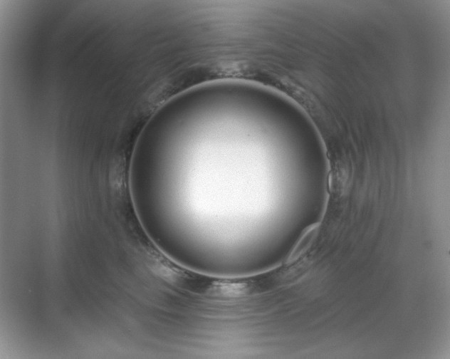 X0000069400665200605151020