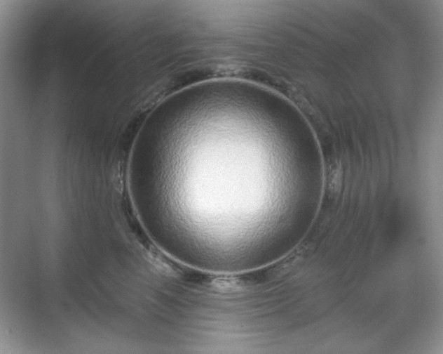X0000069400666200605151020