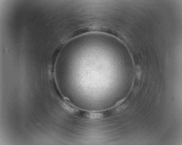 X0000069400670200605151020