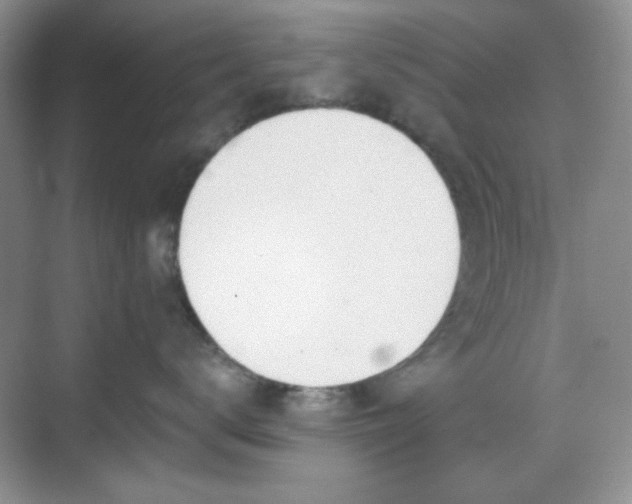 X0000069400672200605151020