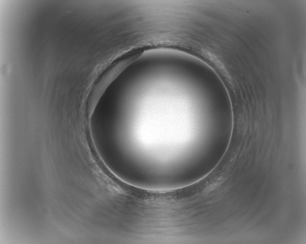X0000069400673200605151019