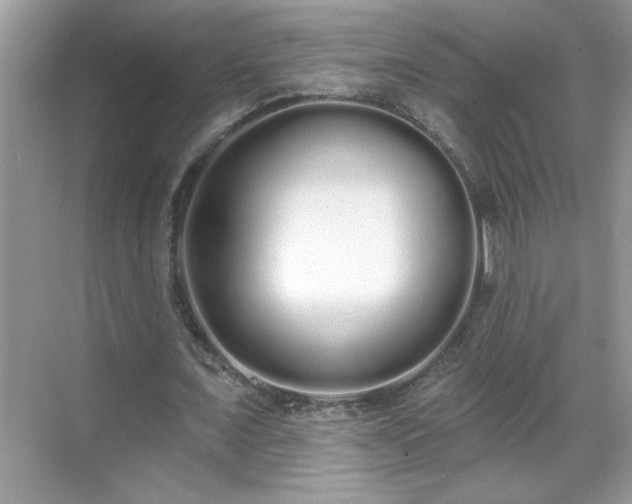 X0000069400675200605151019