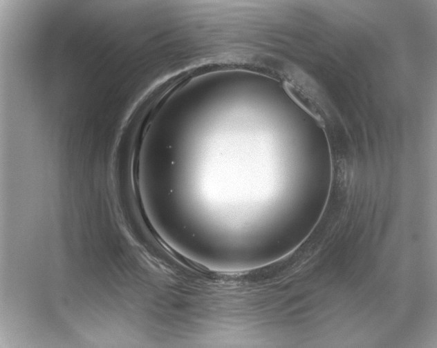 X0000069400676200605151019