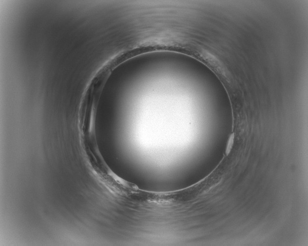 X0000069400680200605151019