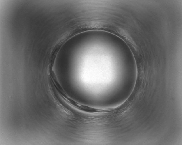 X0000069400681200605151019